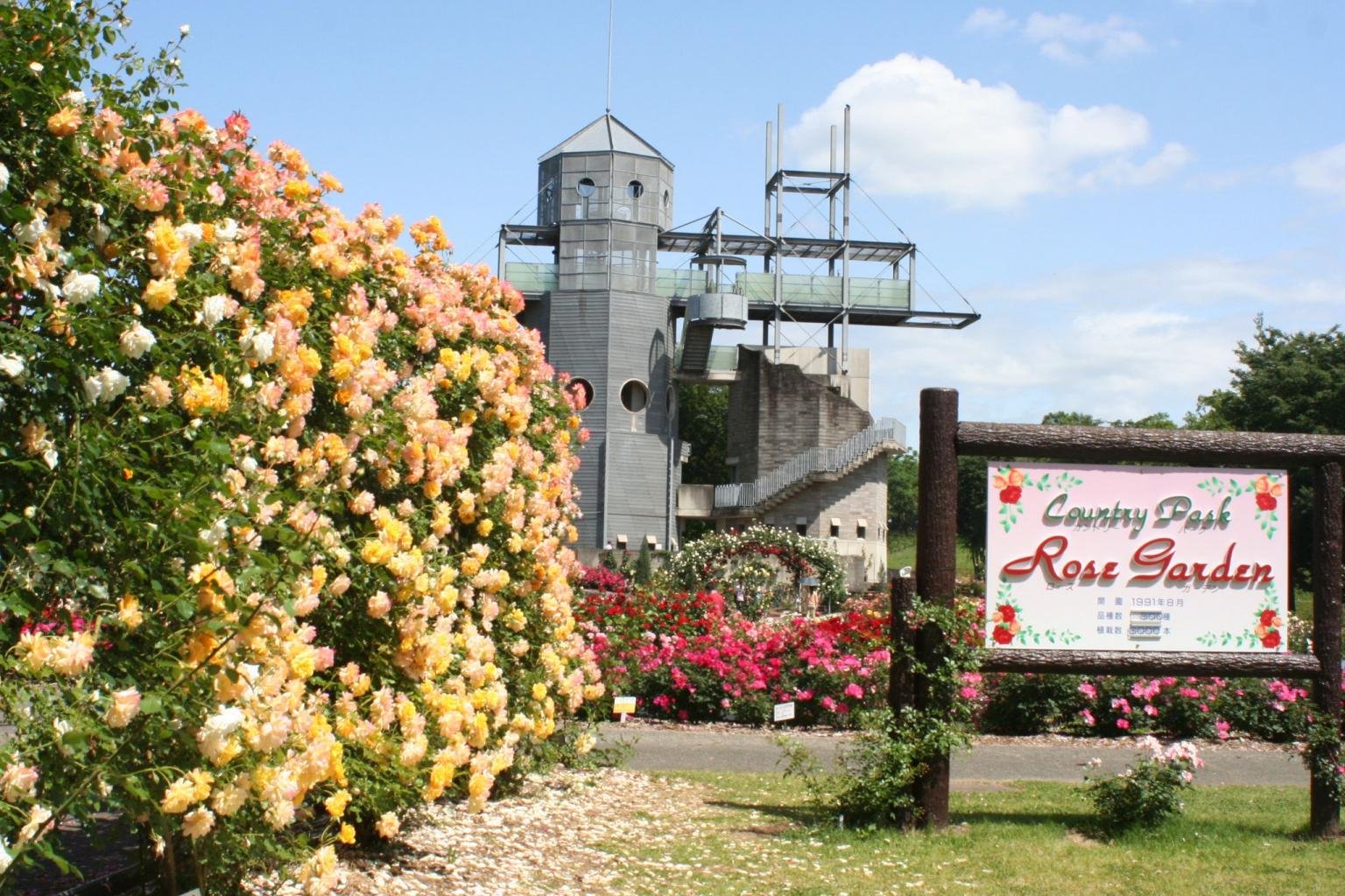 🏞️ 구마모토현 농업공원 컨트리 파크